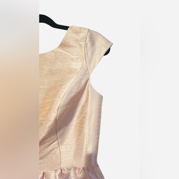 Alfred Sung Excellent US 6 Champagne Gown Formal Dress A-line Wedding Bridesmaid - Picture 3 of 12